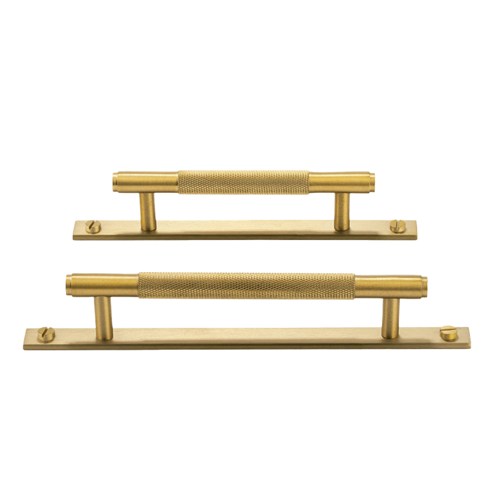 Nuvo Solid Brass  Pull handle With Backplate .